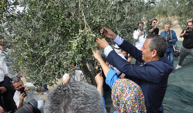 Özgür Özel Soma’da Zeytin Şenliğine katıldı