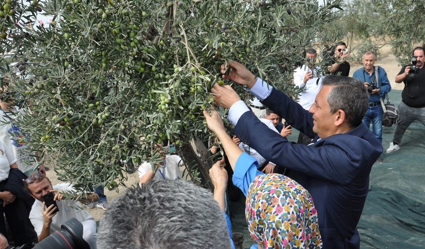 Özgür Özel Soma’da Zeytin Şenliğine katıldı